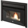Insert De Cheminée à Granulés Eva Calor Nico 13kW Avec Double Canalisation -Ubbink Magasin 27178408 1