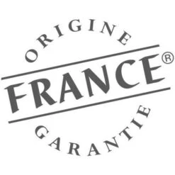 Poêle à Bois Fonte-PETIT CARVIN-8 KW- Peint Anthracite -thermostat GODIN - 366102 7 Poêle à Bois Fonte-PETIT CARVIN-8 KW- Peint Anthracite -thermostat GODIN - 366102 -Ubbink Magasin 27606417 3