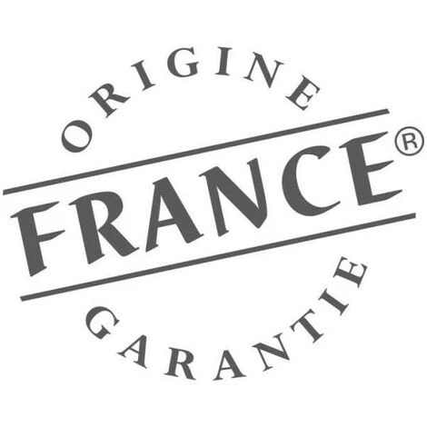 Poêle à Bois Fonte-PETIT CARVIN-8 KW- Peint Anthracite -thermostat GODIN - 366102 5 Poêle à Bois Fonte-PETIT CARVIN-8 KW- Peint Anthracite -thermostat GODIN - 366102 – Image 3