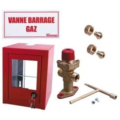 Coffret Coupure Gaz Avec Vanne Coup De Poing DN25 Et Signalisation