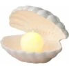 Shell Pearl Night Light, Ornement De Bureau Portable LED Pearl Light, Plateau à Bijoux En Céramique, Pour La Décoration De La Maison Du Salon, Ornement De Bureau Créatif Shell -Ubbink Magasin 71470645 1