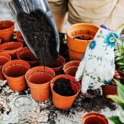 Outil De Désherbage Manuel De Jardin Pour Un Retrait Facile Des Mauvaises Herbes, En Acier Inoxydable De Qualité Supérieure, Poignée Confortable Pour Pelouse, Cour, Transplantation De Jardin (style 2) -Ubbink Magasin 97663674 3